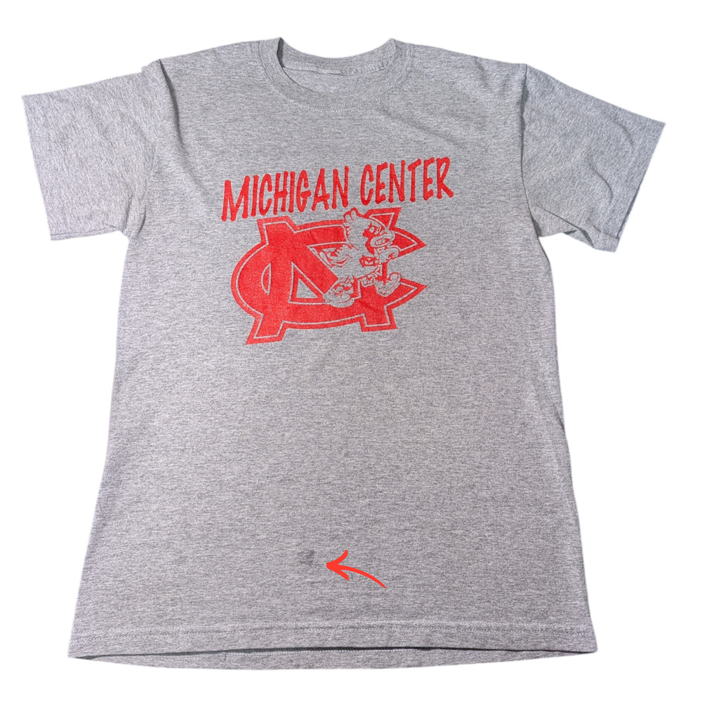 Gray T-Shirt Red "Michigan Center" Graphic With A Mascot Logo Women's Size M
